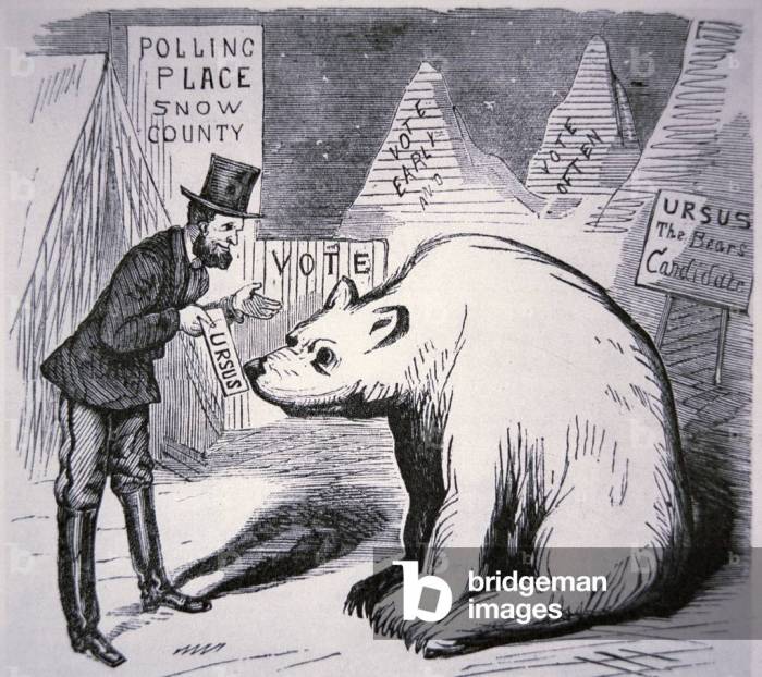 Political cartoon alaska purchase analysis