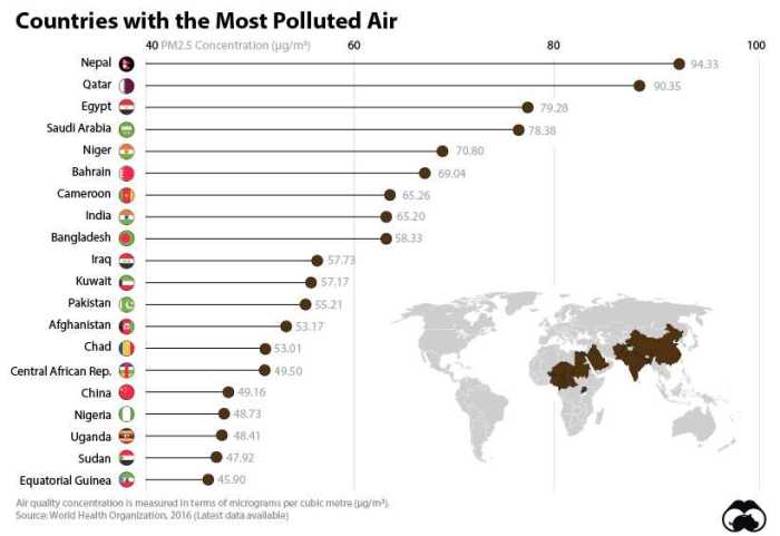 Air pollution mysteries apes answers