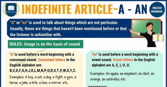 Gramatica c definite and indefinite articles