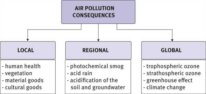 Air pollution mysteries apes answers