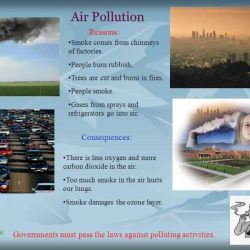 Air pollution mysteries apes answers