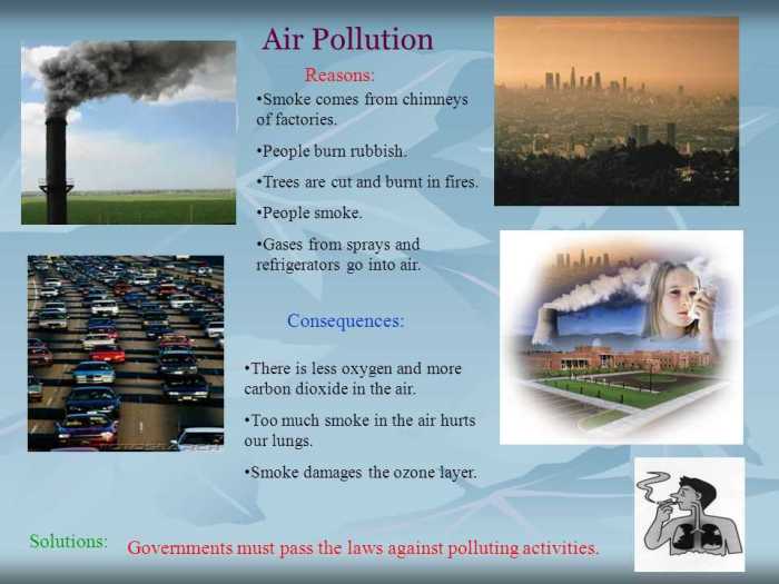 Air pollution mysteries apes answers