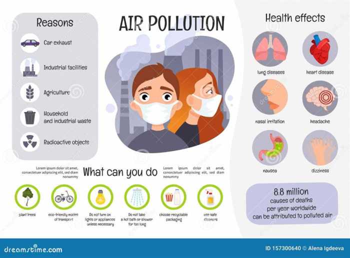 Air pollution mysteries apes answers