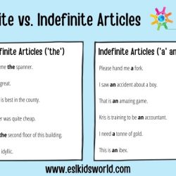 Gramatica c definite and indefinite articles