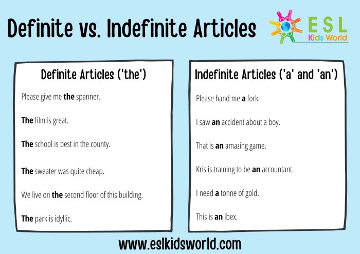 Gramatica c definite and indefinite articles