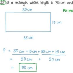 Rectangle perimeter area length width calculate rectangles cm find lengths calculator grade sides math align its adding know ck