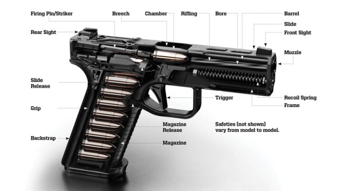 Nra basics of pistol shooting test answers