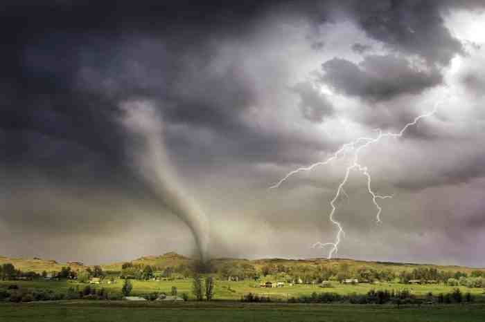 Tornadoes can negatively affect an ecosystem when -