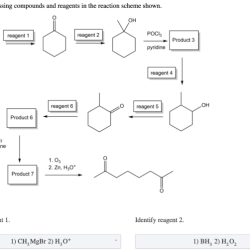 Provide the missing compounds and reagents in the reaction scheme.